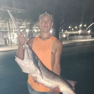 Meet your Posher, Myron